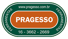 2013_PRAGESSO_logo